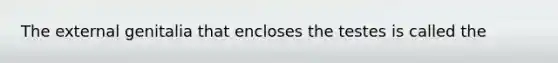 The external genitalia that encloses the testes is called the