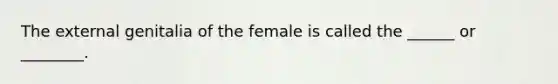 The external genitalia of the female is called the ______ or ________.