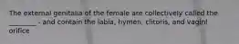 The external genitalia of the female are collectively called the ________ - and contain the labia, hymen, clitoris, and vaginl orifice