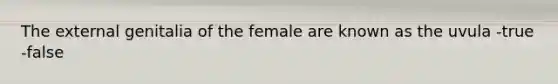 The external genitalia of the female are known as the uvula -true -false