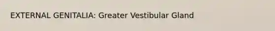 EXTERNAL GENITALIA: Greater Vestibular Gland