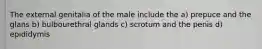 The external genitalia of the male include the a) prepuce and the glans b) bulbourethral glands c) scrotum and the penis d) epididymis