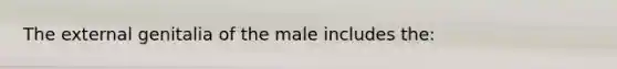 The external genitalia of the male includes the: