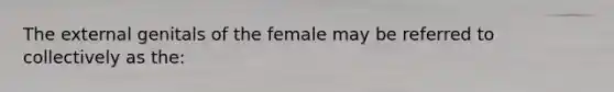 The external genitals of the female may be referred to collectively as the: