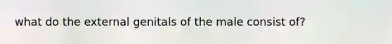 what do the external genitals of the male consist of?