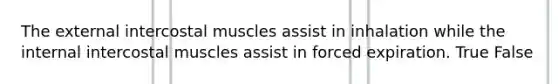 The external intercostal muscles assist in inhalation while the internal intercostal muscles assist in forced expiration. True False