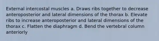 External intercostal muscles a. Draws ribs together to decrease anteroposterior and lateral dimensions of the thorax b. Elevate ribs to increase anteroposterior and lateral dimensions of the thorax c. Flatten the diaphragm d. Bend the <a href='https://www.questionai.com/knowledge/ki4fsP39zf-vertebral-column' class='anchor-knowledge'>vertebral column</a> anteriorly