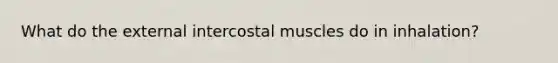 What do the external intercostal muscles do in inhalation?