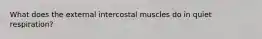 What does the external intercostal muscles do in quiet respiration?