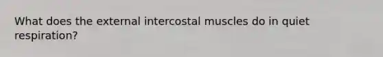 What does the external intercostal muscles do in quiet respiration?