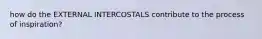 how do the EXTERNAL INTERCOSTALS contribute to the process of inspiration?
