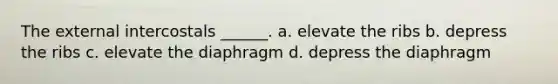 The external intercostals ______. a. elevate the ribs b. depress the ribs c. elevate the diaphragm d. depress the diaphragm