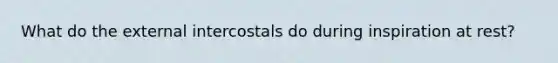 What do the external intercostals do during inspiration at rest?