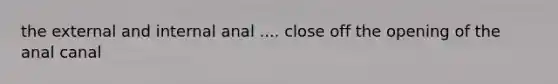 the external and internal anal .... close off the opening of the anal canal