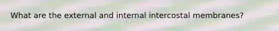 What are the external and internal intercostal membranes?