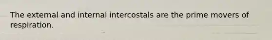 The external and internal intercostals are the prime movers of respiration.