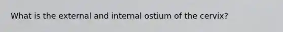 What is the external and internal ostium of the cervix?