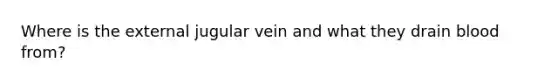 Where is the external jugular vein and what they drain blood from?