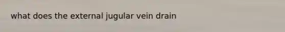 what does the external jugular vein drain