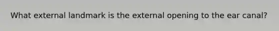 What external landmark is the external opening to the ear canal?