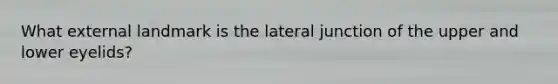 What external landmark is the lateral junction of the upper and lower eyelids?