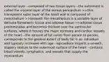 external layer --composed of two tissue layers --the outermost is called the visceral layer of the serous pericardium >>thin, transparent outer layer of the heart wall is composed of mesothelium >>beneath the mesothelium is a variable layer of delicate fibroelastic tissue and adipose tissue >>adipose tissue predominates and becomes thickest over the ventricular surfaces, where it houses the major coronary and cardiac vessels of the heart --the amount of fat varies from person to person, corresponds to the general extent of body fat in an individual, and typically increases with age --epicardium imparts a smooth, slippery texture to the outermost surface of the heart --contains blood vessels, lymphatics, and vessels that supply the myocardium