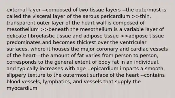 external layer --composed of two tissue layers --the outermost is called the visceral layer of the serous pericardium >>thin, transparent outer layer of the heart wall is composed of mesothelium >>beneath the mesothelium is a variable layer of delicate fibroelastic tissue and adipose tissue >>adipose tissue predominates and becomes thickest over the ventricular surfaces, where it houses the major coronary and cardiac vessels of the heart --the amount of fat varies from person to person, corresponds to the general extent of body fat in an individual, and typically increases with age --epicardium imparts a smooth, slippery texture to the outermost surface of the heart --contains blood vessels, lymphatics, and vessels that supply the myocardium