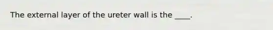 The external layer of the ureter wall is the ____.