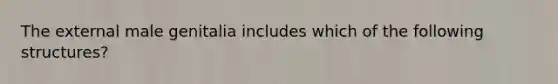 The external male genitalia includes which of the following structures?