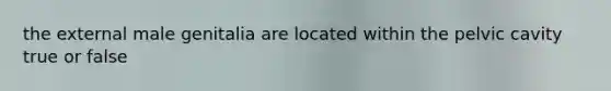 the external male genitalia are located within the pelvic cavity true or false