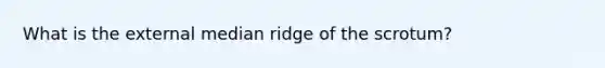 What is the external median ridge of the scrotum?