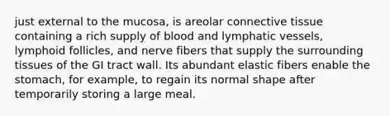 just external to the mucosa, is areolar connective tissue containing a rich supply of blood and lymphatic vessels, lymphoid follicles, and nerve fibers that supply the surrounding tissues of the GI tract wall. Its abundant elastic fibers enable the stomach, for example, to regain its normal shape after temporarily storing a large meal.