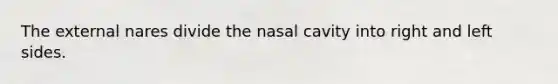 The external nares divide the nasal cavity into right and left sides.