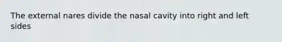 The external nares divide the nasal cavity into right and left sides