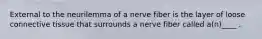 External to the neurilemma of a nerve fiber is the layer of loose connective tissue that surrounds a nerve fiber called a(n)____ .