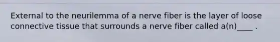 External to the neurilemma of a nerve fiber is the layer of loose connective tissue that surrounds a nerve fiber called a(n)____ .