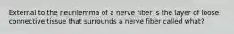 External to the neurilemma of a nerve fiber is the layer of loose connective tissue that surrounds a nerve fiber called what?