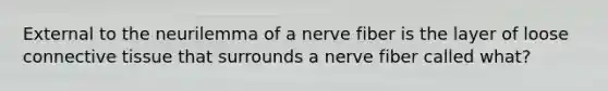 External to the neurilemma of a nerve fiber is the layer of loose connective tissue that surrounds a nerve fiber called what?