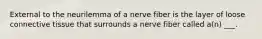 External to the neurilemma of a nerve fiber is the layer of loose connective tissue that surrounds a nerve fiber called a(n) ___.