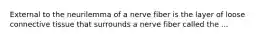 External to the neurilemma of a nerve fiber is the layer of loose connective tissue that surrounds a nerve fiber called the ...