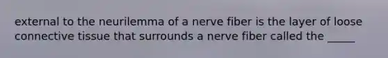 external to the neurilemma of a nerve fiber is the layer of loose connective tissue that surrounds a nerve fiber called the _____