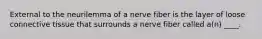 External to the neurilemma of a nerve fiber is the layer of loose connective tissue that surrounds a nerve fiber called a(n) ____.