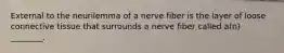 External to the neurilemma of a nerve fiber is the layer of loose connective tissue that surrounds a nerve fiber called a(n) ________.