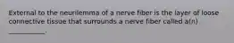 External to the neurilemma of a nerve fiber is the layer of loose connective tissue that surrounds a nerve fiber called a(n) ___________.