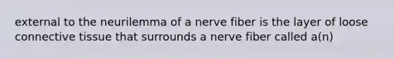 external to the neurilemma of a nerve fiber is the layer of loose connective tissue that surrounds a nerve fiber called a(n)