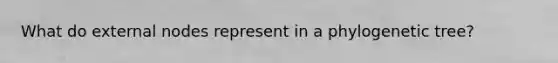 What do external nodes represent in a phylogenetic tree?