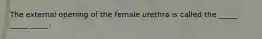 The external opening of the female urethra is called the _____ _____ _____.