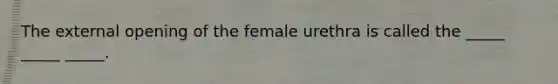 The external opening of the female urethra is called the _____ _____ _____.