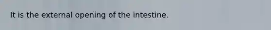 It is the external opening of the intestine.