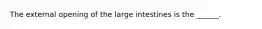 The external opening of the large intestines is the ______.